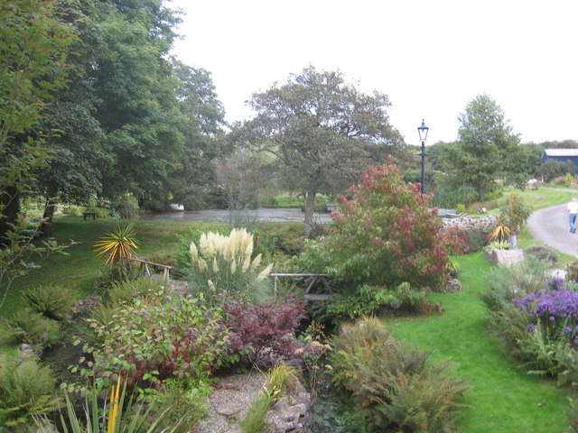 File:Domestic garden at Roch Bridge - geograph.org.uk - 1518295.jpg