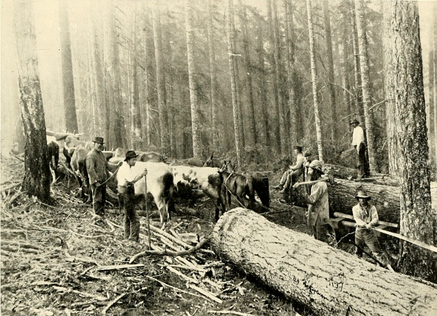 Commons logging