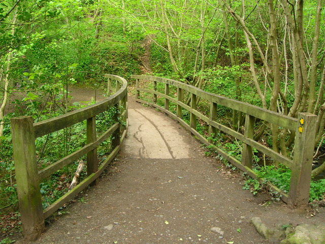 File:Footbridge over Percy Beck - geograph.org.uk - 1287730.jpg