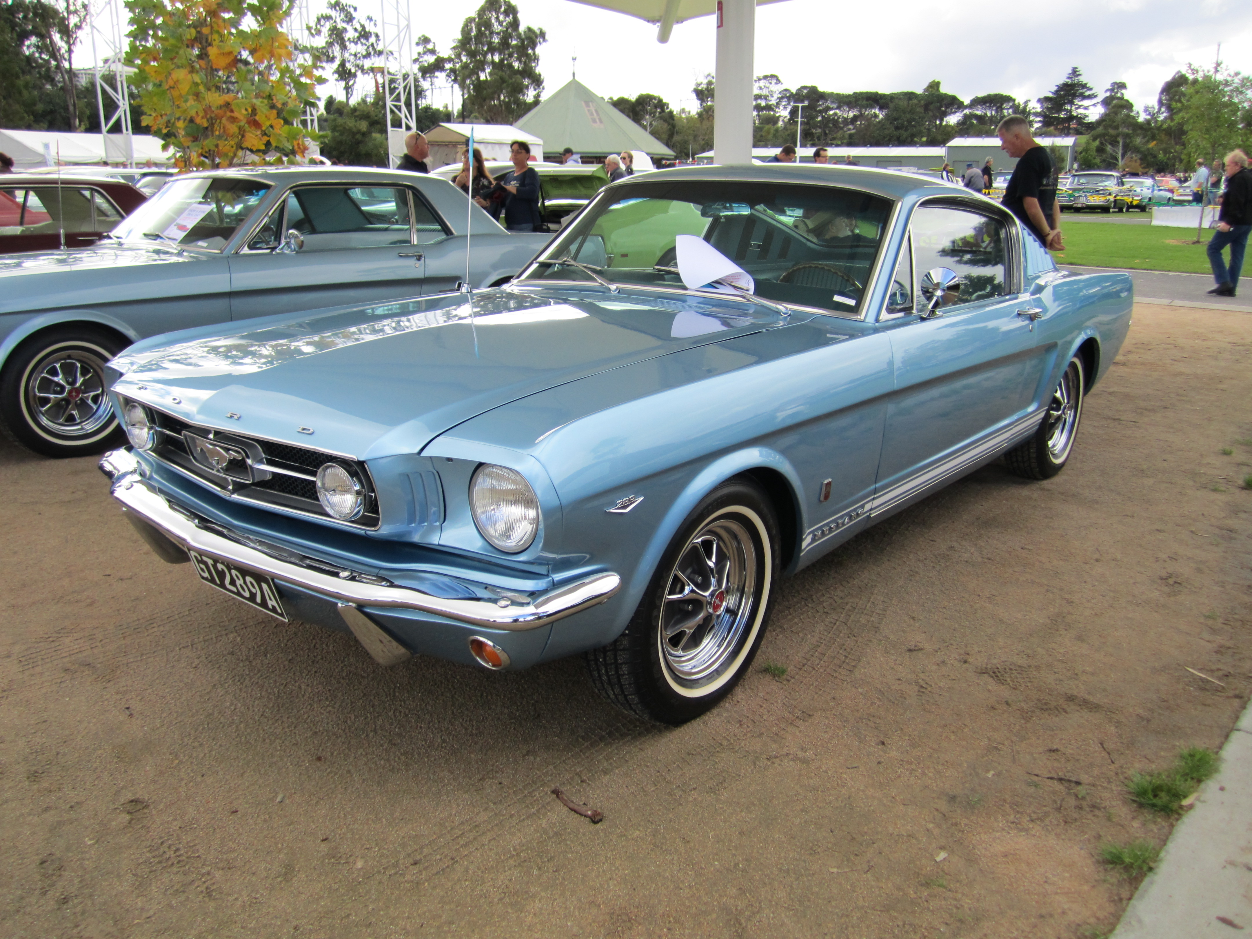 File Ford Mustang Gt Fastback 1965 2 Jpg Wikimedia Commons