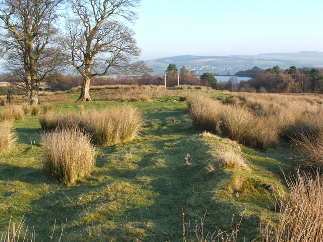 File:Former cattle enclosure - southern wall - geograph.org.uk - 1101793.jpg