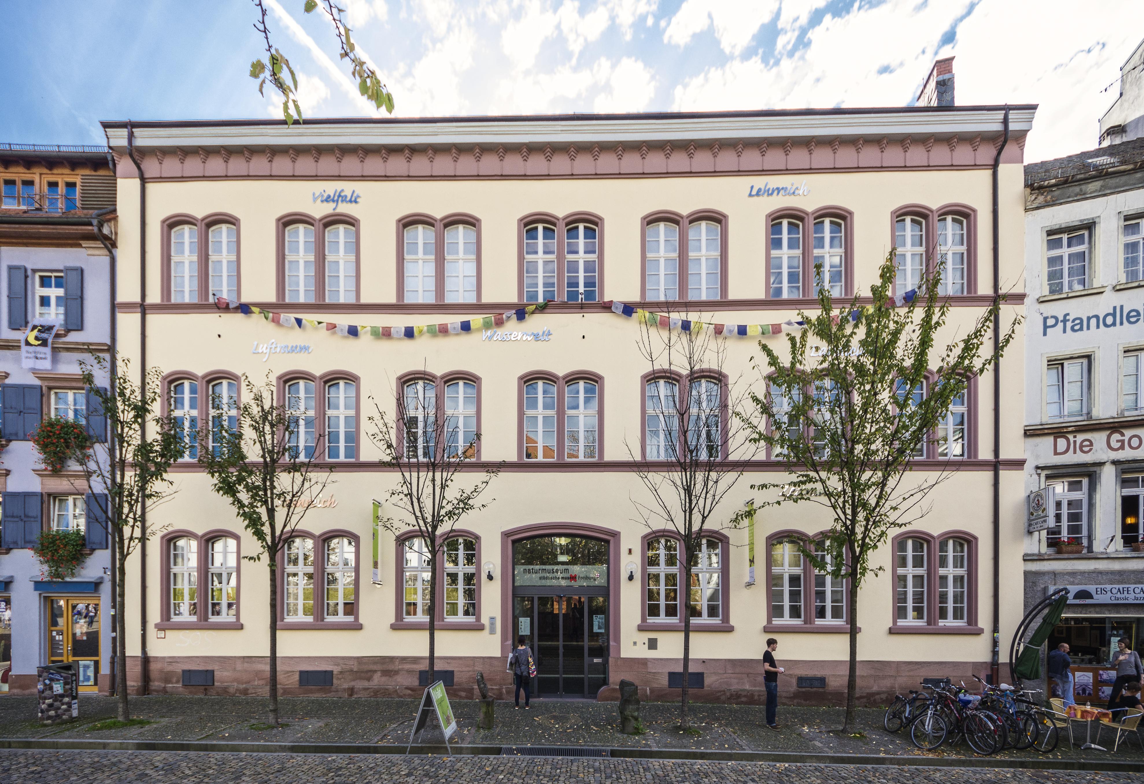 Das Natrukundemuseum in der Gerberau