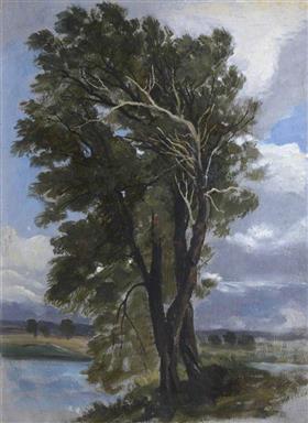 File:Harvey - trees-in-a-wind.jpg