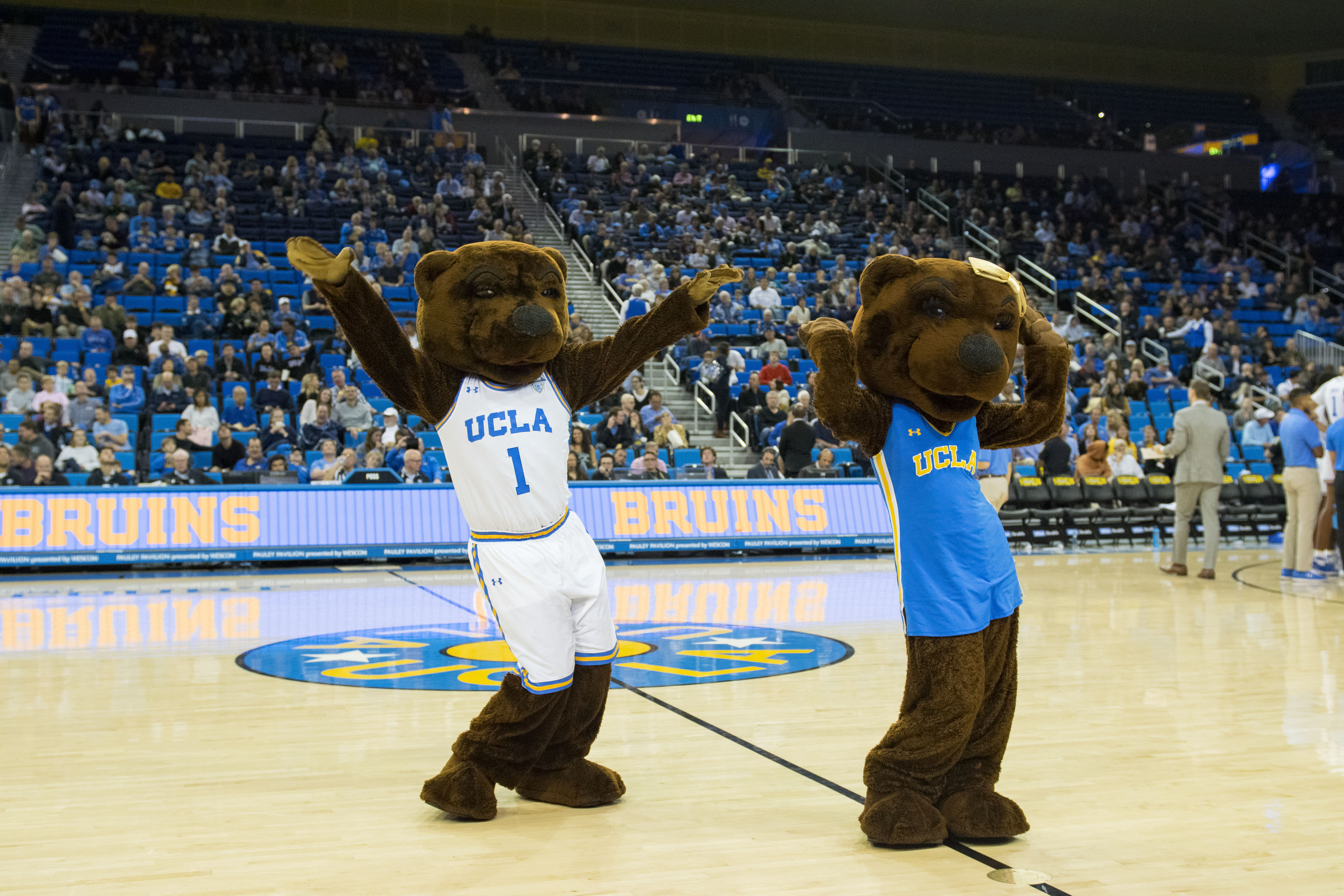 UCLA Bruins Athletic Mesh Pet Jersey