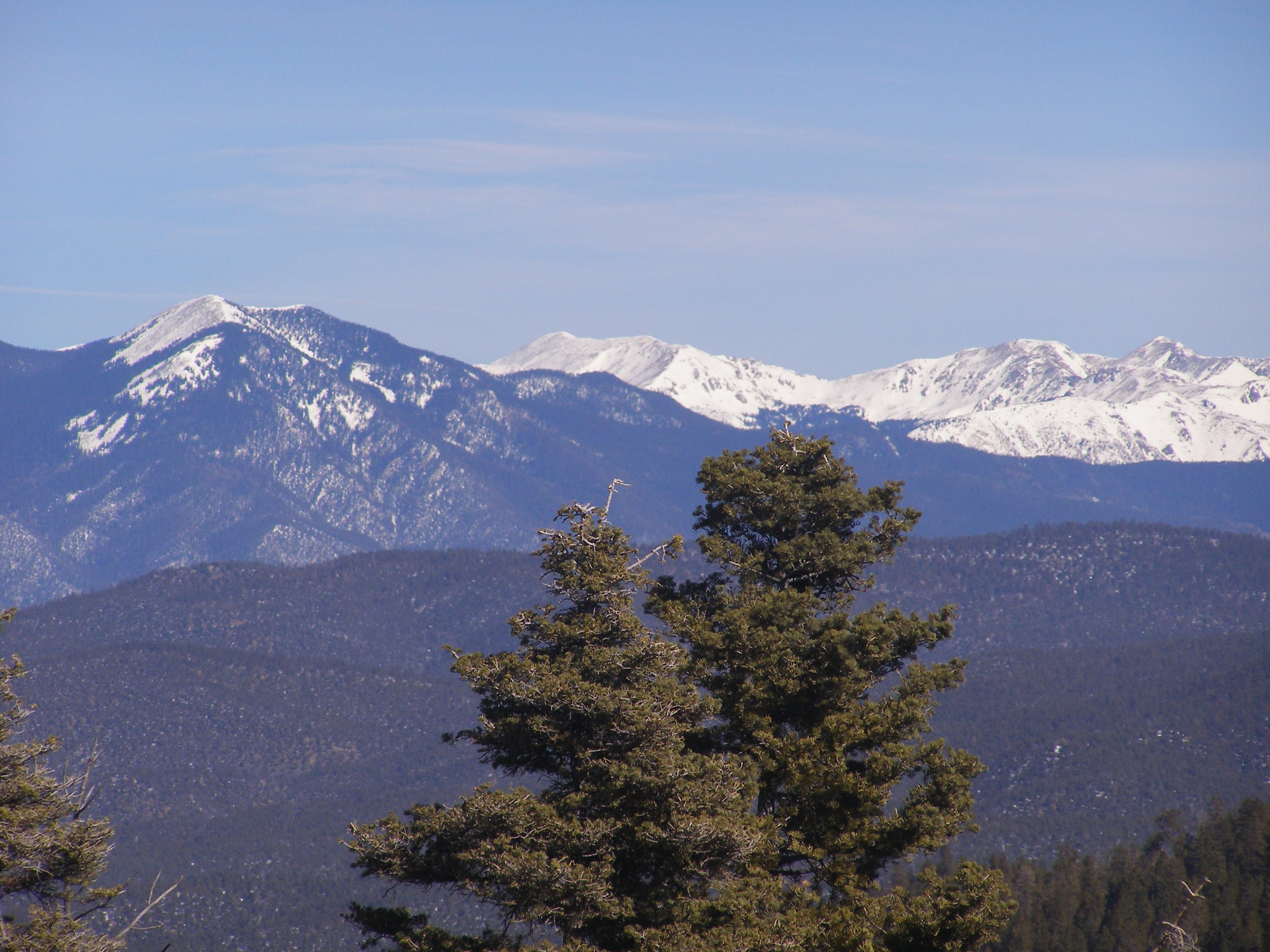 A Beautiful Trek through the Carson National Forest