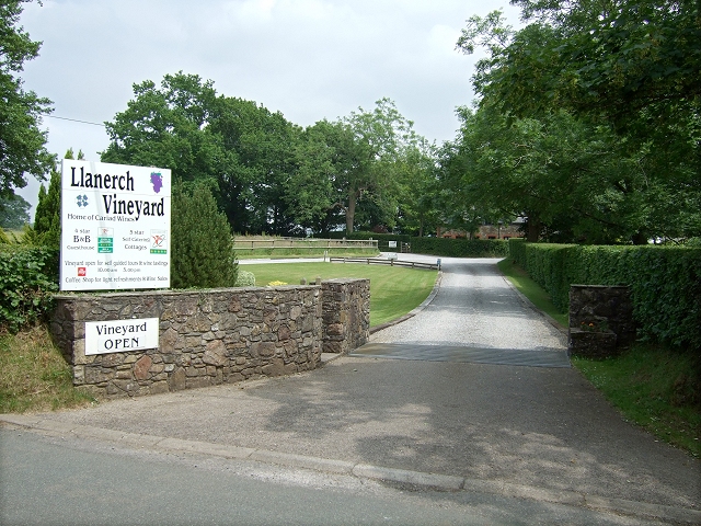 Picture of Llanerch Vineyard courtesy of Wikimedia Commons contributors - click for full credit