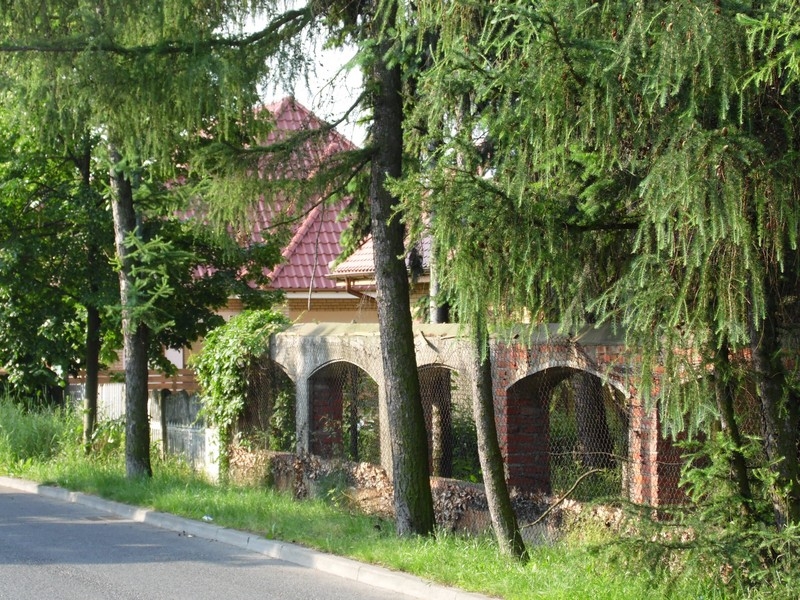 File:MAKI NA PODKOWIŃSKIEGO 2014 r. 08 - panoramio.jpg