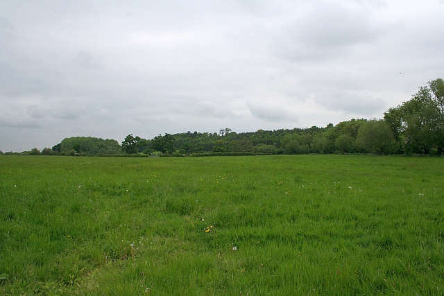 File:Meadow north of Holloway Farm - geograph.org.uk - 809579.jpg