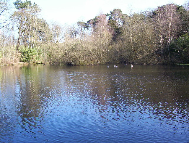 Moat Mount Lake - geograph.org.uk - 127637