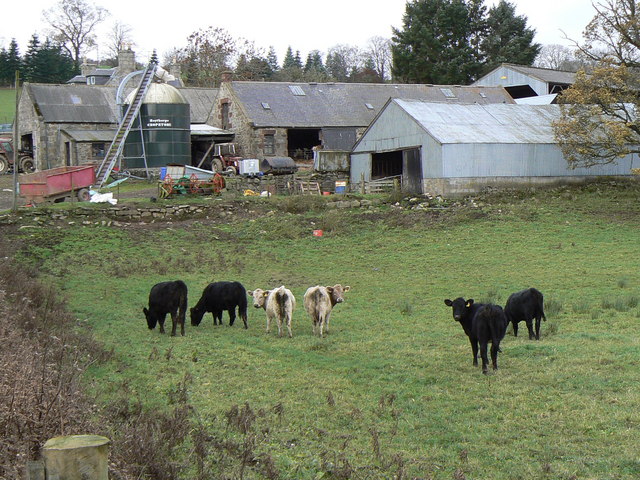 File:No colour prejudice here - geograph.org.uk - 287799.jpg