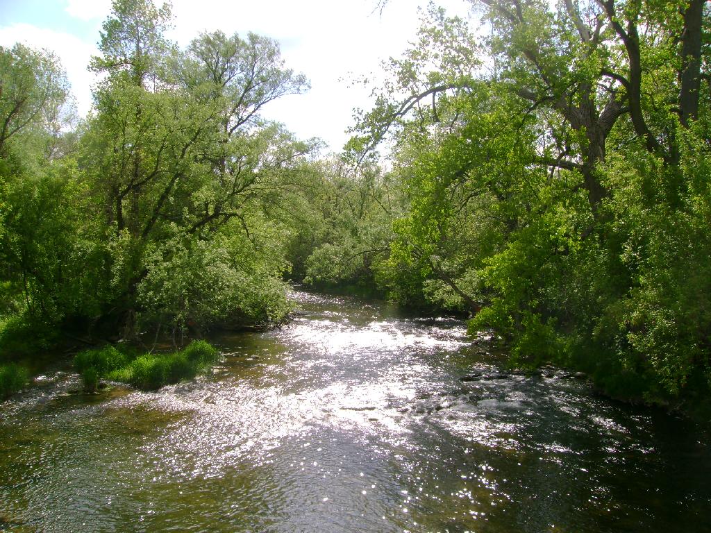 Oatka Creek Hatch Chart