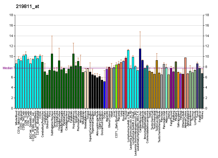 File:PBB GE DGCR8 219811 at fs.png