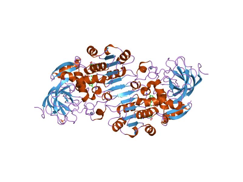 File:PDB 1hsz EBI.jpg