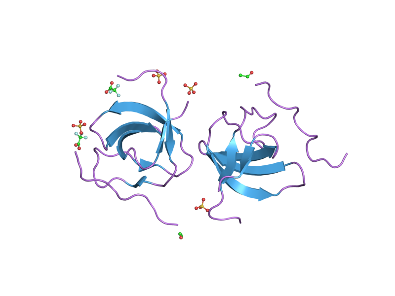 File:PDB 1w70 EBI.png