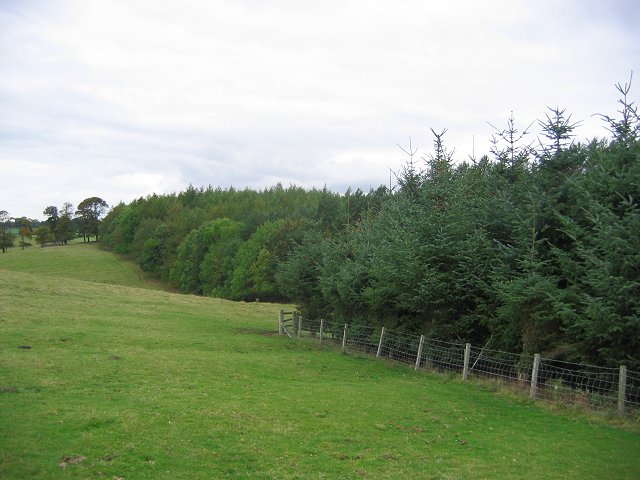 File:Pasture, Philpstoun. - geograph.org.uk - 60802.jpg