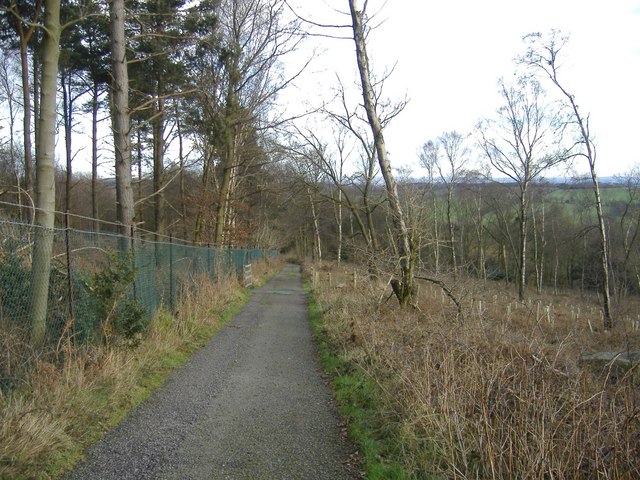 Path to Bardon Hill - geograph.org.uk - 347947