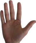 File:Right hand.png