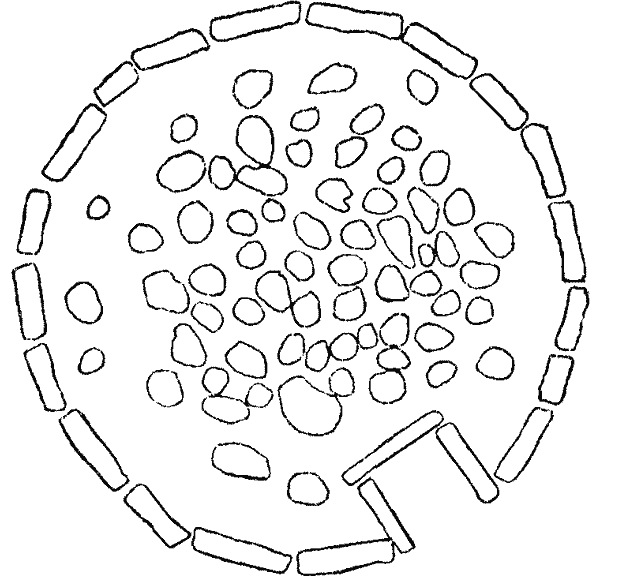 File:Stone circle at the Senâm, Algeria.jpg