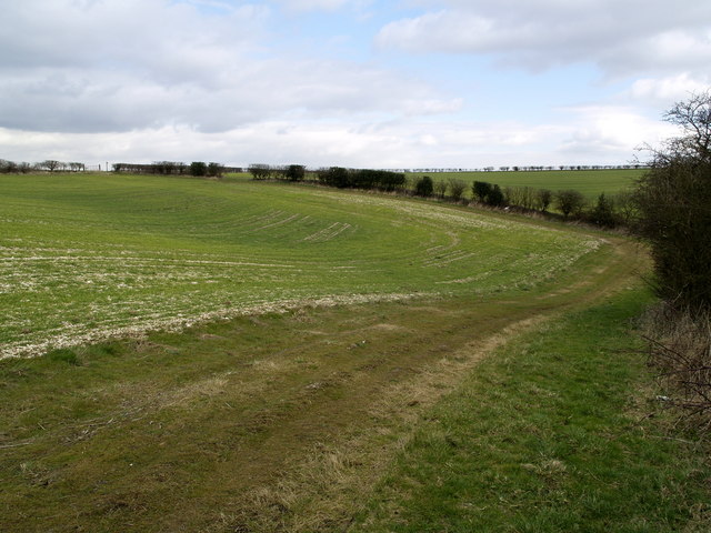 File:The Footpath above Austin's Dale - geograph.org.uk - 722784.jpg