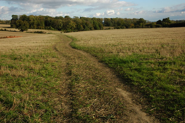 The Wychwood Way, Combe - geograph.org.uk - 1019924