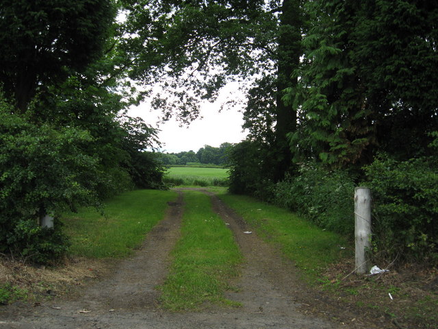 File:Track in to the woods near Bowhouse Farm - geograph.org.uk - 1366575.jpg