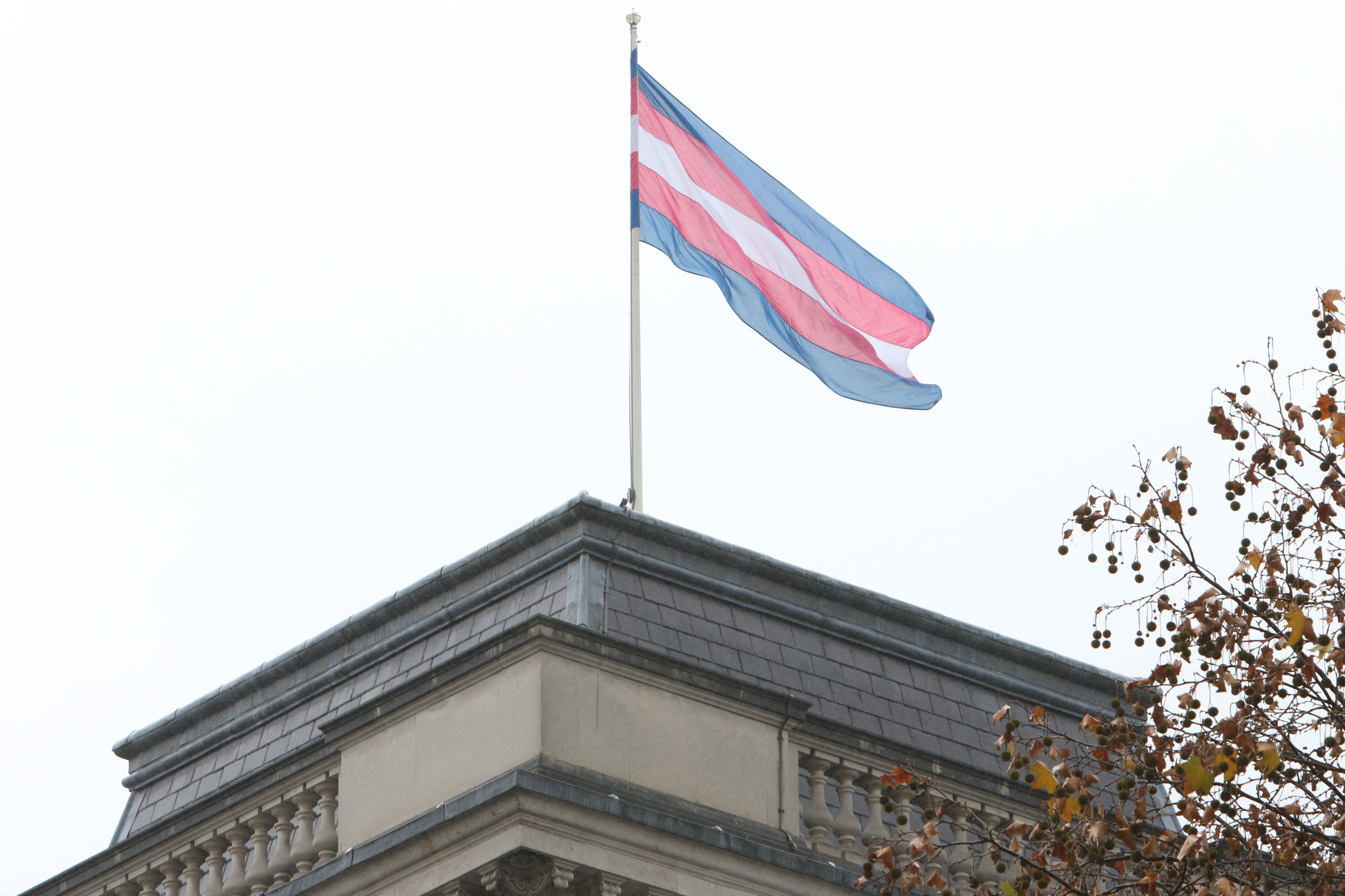 Transgender Day of Remembrance - Wikipedia