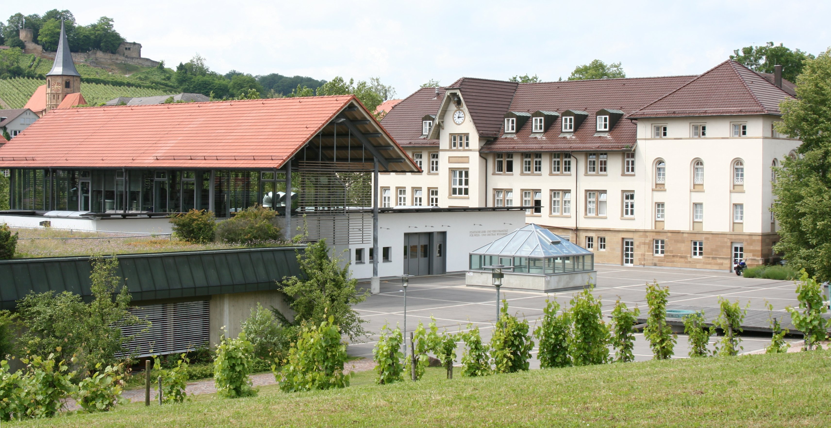 Staatliche Lehr- und Versuchsanstalt für Wein- und Obstbau Weinsberg -  Wikipedia