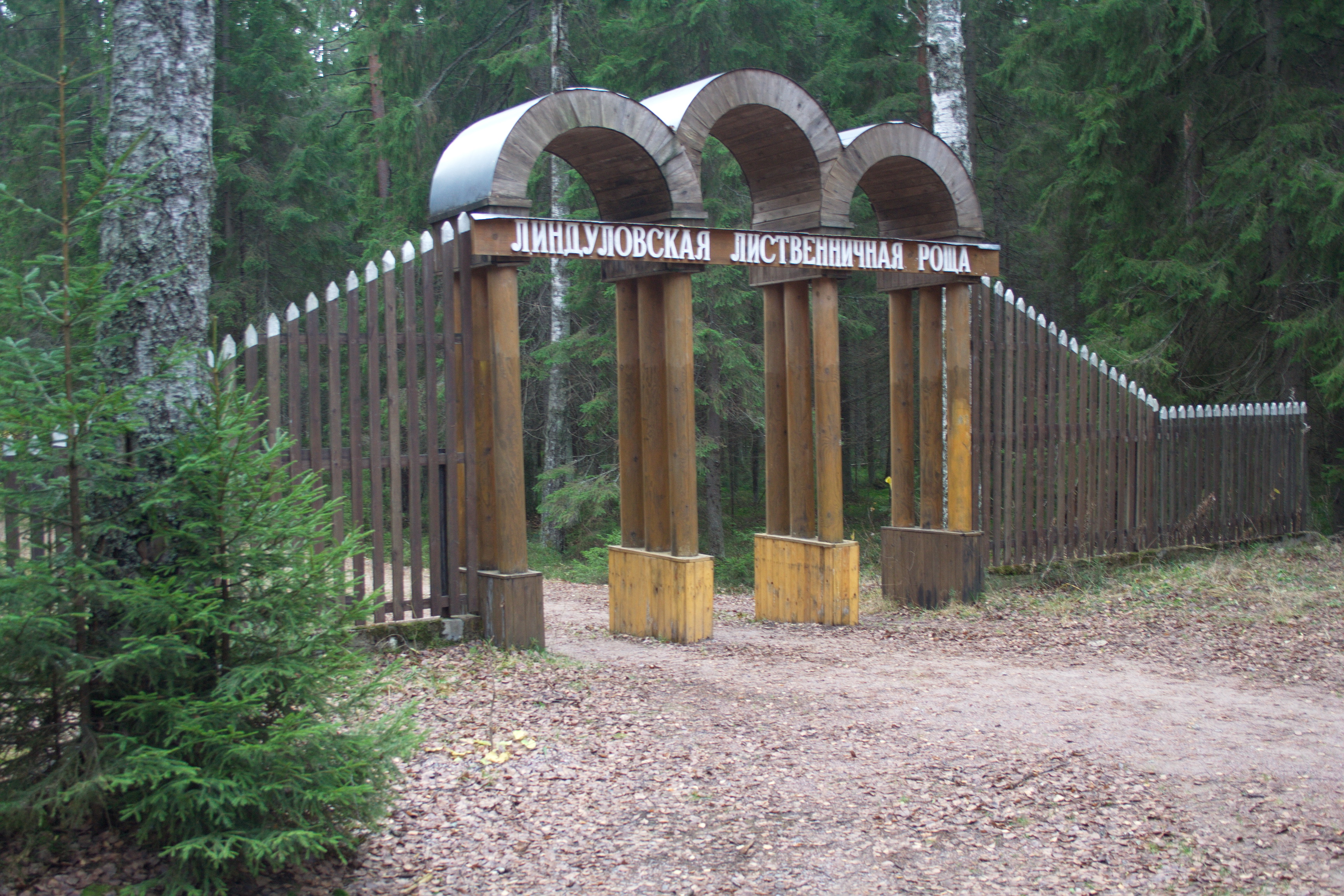 Линдуловская роща спб