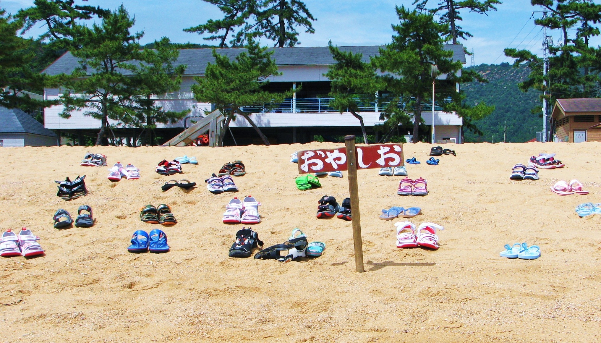 File 玉野市渋川海岸 松並木 Panoramio Jpg Wikimedia Commons