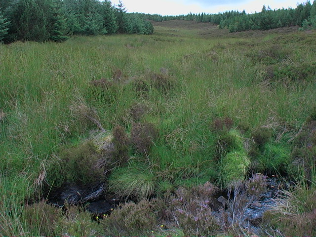 File:A drainage from the south through a forest break east of Beinn Ulbhaidh - geograph.org.uk - 1424594.jpg