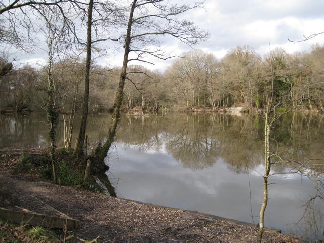 File:Abbrook Pond - geograph.org.uk - 1750233.jpg