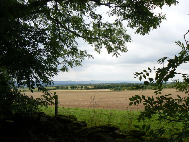 File:Across Fields - geograph.org.uk - 1452430.jpg