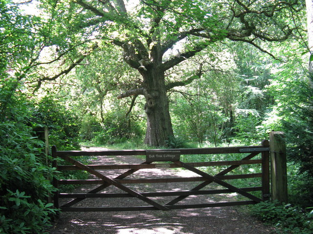 File:Appropriately named cottage near Decoy Copse - geograph.org.uk - 1374840.jpg