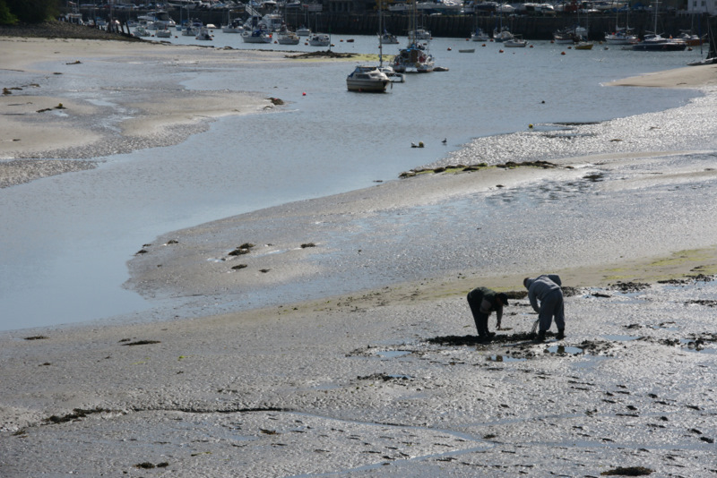 File:Bait-diggers, Porthmadog - geograph.org.uk - 1846563.jpg