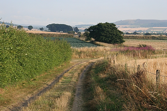 File:Ballindarg - geograph.org.uk - 222335.jpg