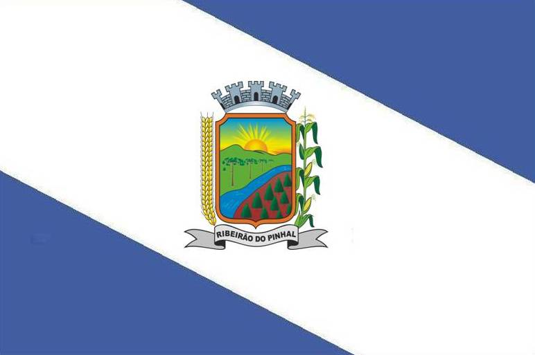 File:Bandeira Municipal.jpg