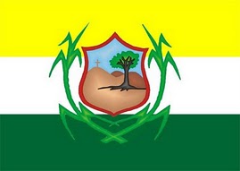 File:Bandeira de Timbaúba PE.jpg