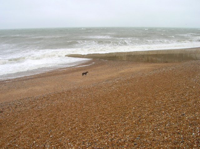 File:Bank Holiday Monday, Hove Beach - geograph.org.uk - 426638.jpg