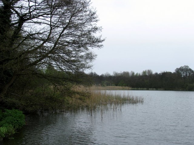 Burton Park SSSI