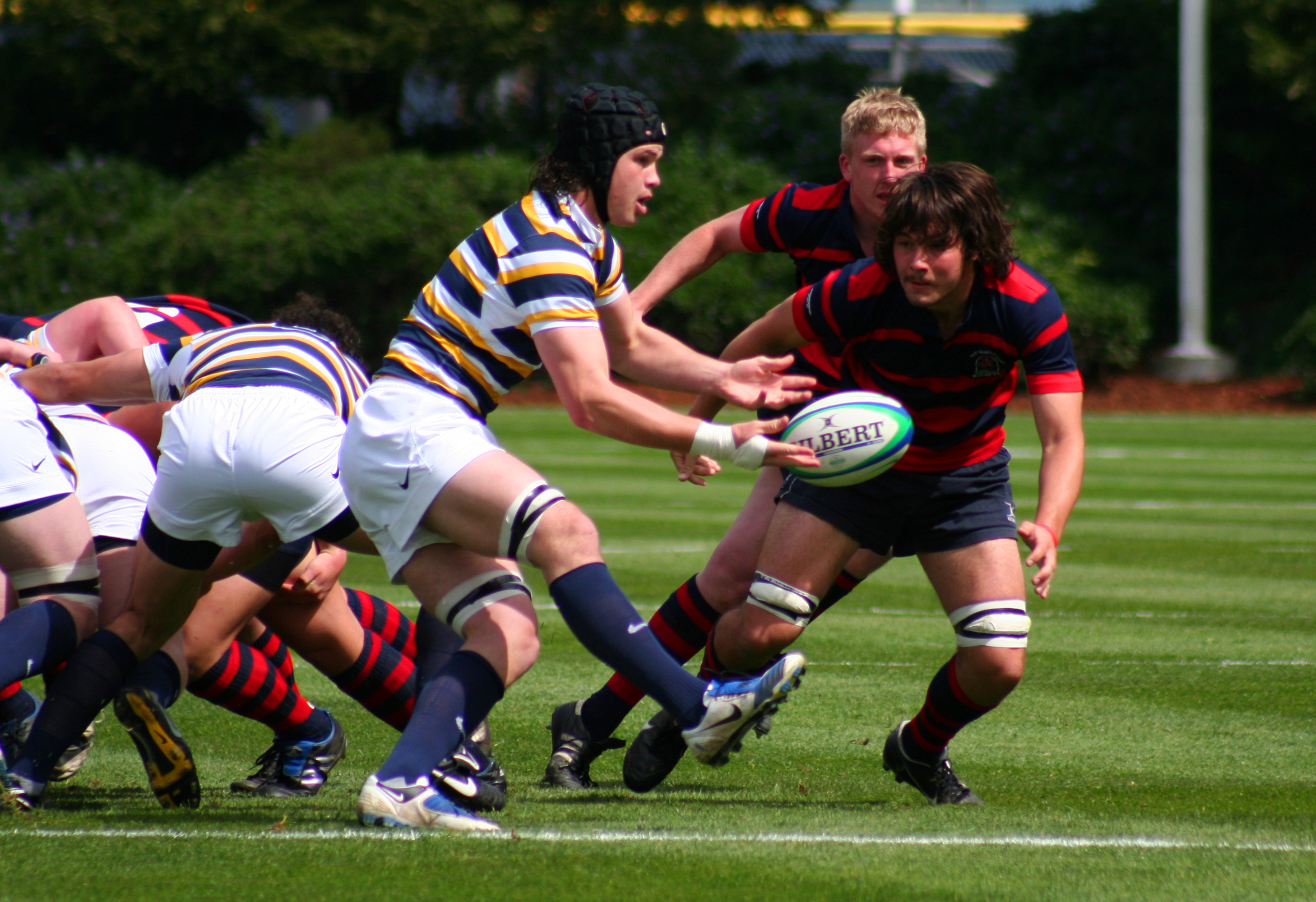 Cal rugby: college sports' most dominant team