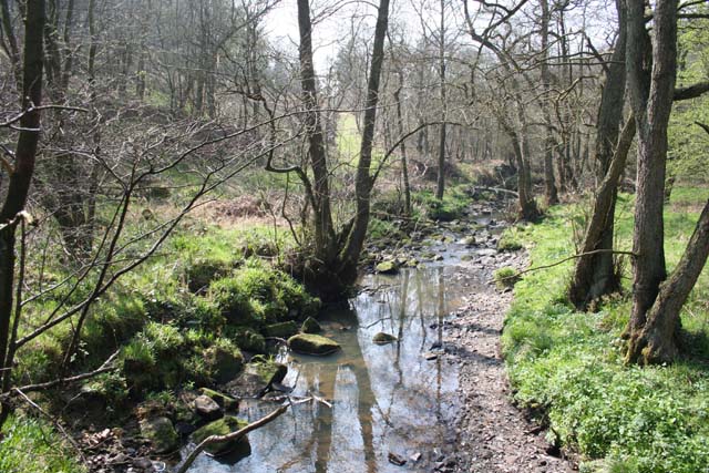 Combes Brook - geograph.org.uk - 402651