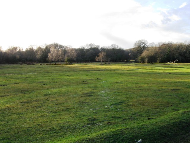 File:Common land in front of The Sir Walter Tyrrell - geograph.org.uk - 2749096.jpg