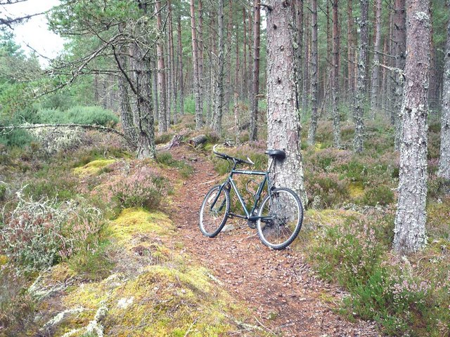 File:Designated footpath from Auchterflow to Wester Culbo - geograph.org.uk - 966353.jpg