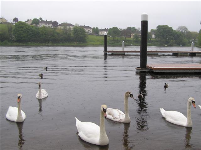 File:Erne River, Enniskillen - geograph.org.uk - 1305710.jpg