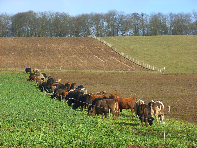 File:Farmland, Streatley - geograph.org.uk - 2321462.jpg