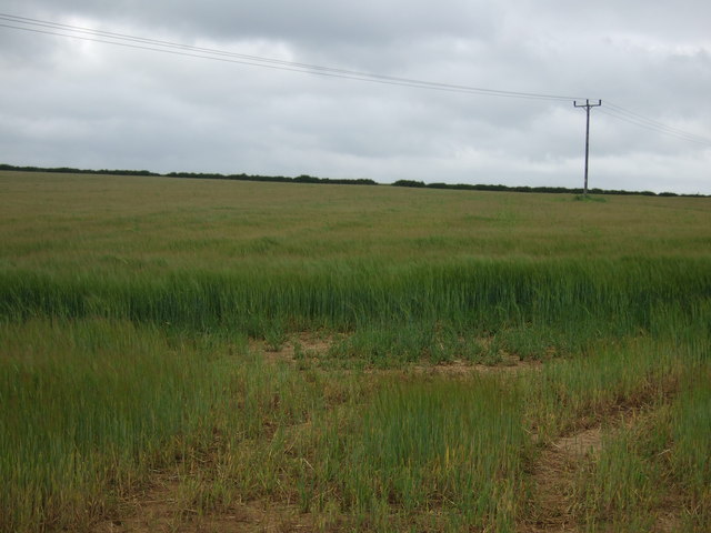 File:Farmland near Duddington - geograph.org.uk - 3019252.jpg