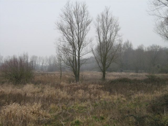 File:Fishlake Meadows in Winter from Romsey Canal - geograph.org.uk - 1098740.jpg