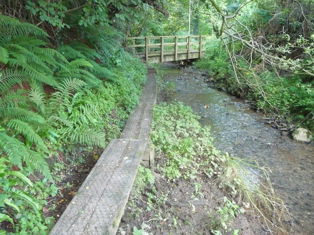 Footbridge and boardwalk near Llangwm - geograph.org.uk - 2547145