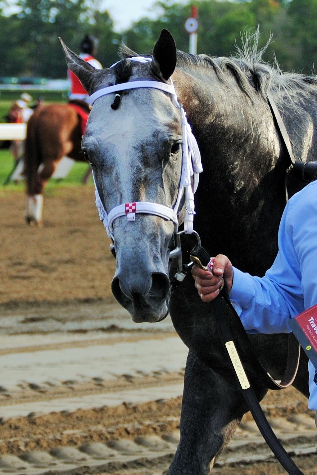 2015 Belmont Stakes Chart