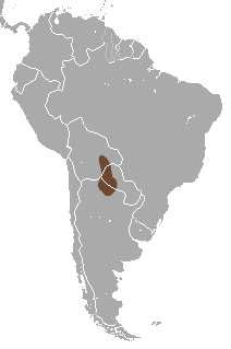 Grande Fée Armadillo area.png